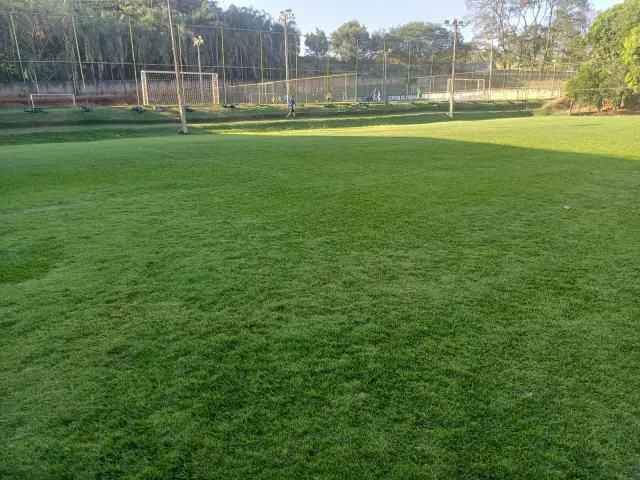 Gramado natural do campo de futebol society do Morjube em Goiânia
