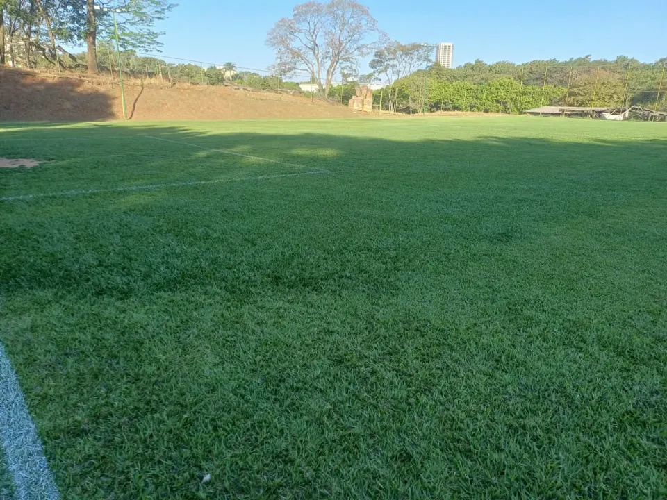 Vista dos campos de futebol society com alambrado e grama natural