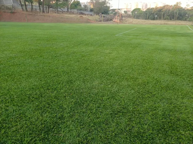 Grama natural cortada e irrigada no campo society do Morjube
